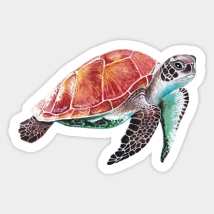 Turtle swimming solo in the ocean Sticker